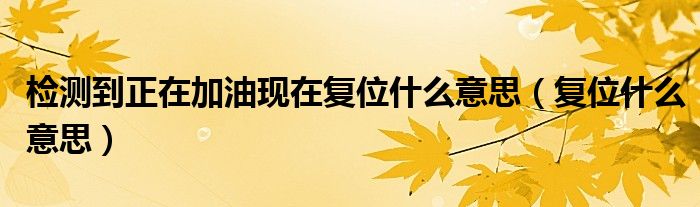 检测到正在加油现在复位什么意思(复位什么意思)