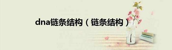 dna链条结构(链条结构)