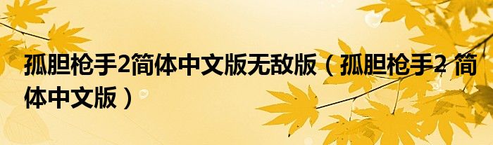 孤胆枪手2简体中文版无敌版(孤胆枪手2 简体中文版)