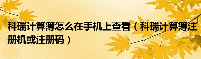 科瑞计算簿怎么在手机上查看(科瑞计算簿注册机或注册码)