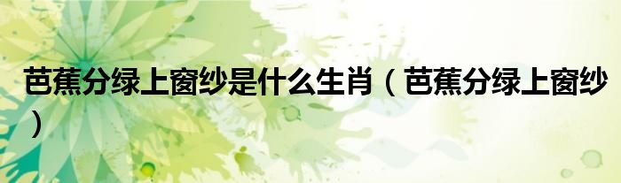 芭蕉分绿上窗纱是什么生肖(芭蕉分绿上窗纱)