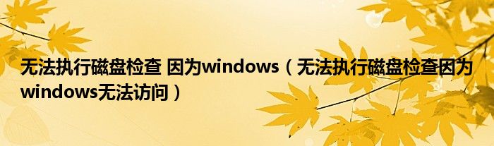 无法执行磁盘检查 因为windows(无法执行磁盘检查因为windows无法访问)