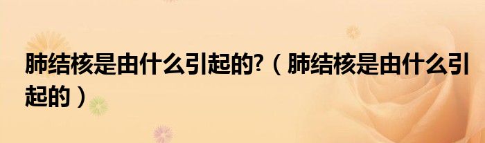 肺结核是由什么引起的?(肺结核是由什么引起的)