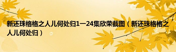 新还珠格格之人儿何处归1一24集欣荣截图(新还珠格格之人儿何处归)