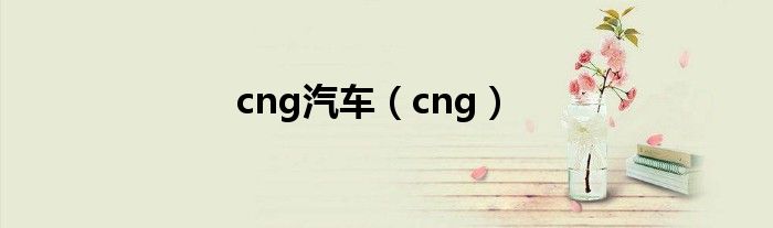 cng汽车(cng)