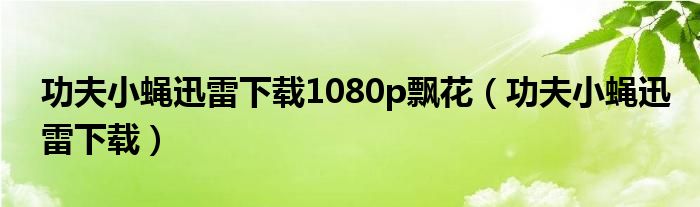 功夫小蝇迅雷下载1080p飘花(功夫小蝇迅雷下载)