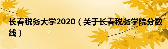 长春税务大学2020(关于长春税务学院分数线)