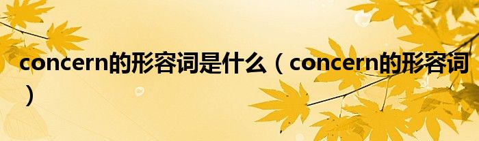 concern的形容词是什么(concern的形容词)