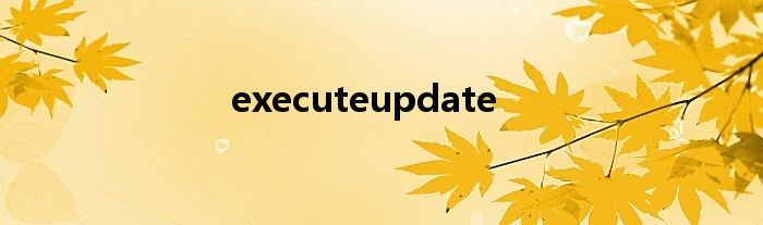 executeupdate