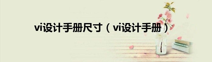 vi设计手册尺寸(vi设计手册)