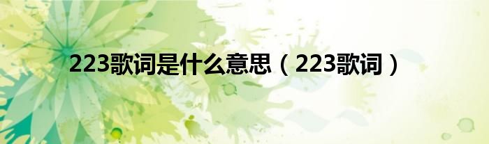 223歌词是什么意思(223歌词)
