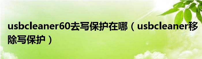 usbcleaner60去写保护在哪(usbcleaner移除写保护)