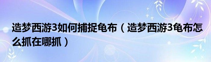 造梦西游3如何捕捉龟布(造梦西游3龟布怎么抓在哪抓)