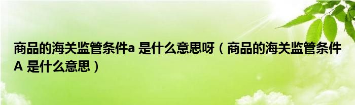 商品的海关监管条件a 是什么意思呀(商品的海关监管条件A 是什么意思)