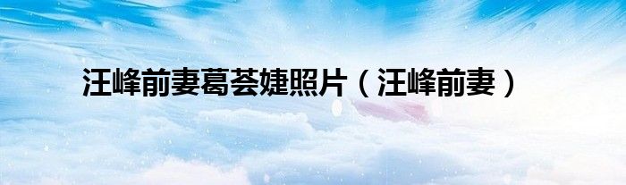 汪峰前妻葛荟婕照片(汪峰前妻)