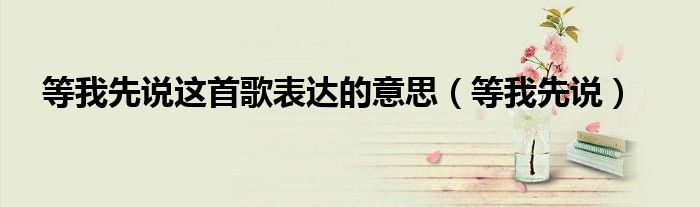 等我先说这首歌表达的意思(等我先说)