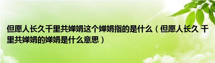 但愿人长久千里共婵娟这个婵娟指的是什么(但愿人长久 千里共婵娟的婵娟是什么意思)