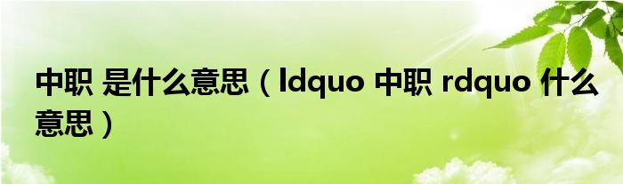 中职 是什么意思(ldquo 中职 rdquo 什么意思)