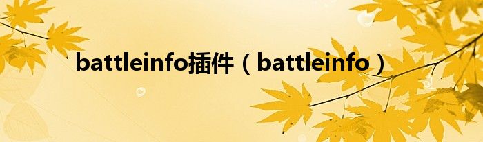 battleinfo插件(battleinfo)
