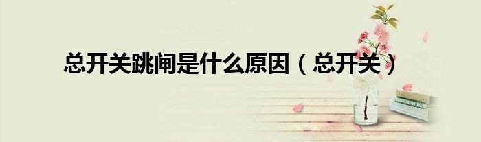 总开关跳闸是什么原因(总开关)