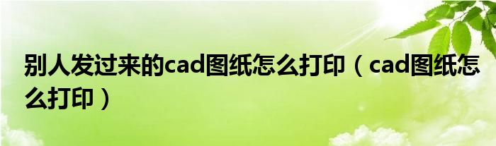别人发过来的cad图纸怎么打印(cad图纸怎么打印)