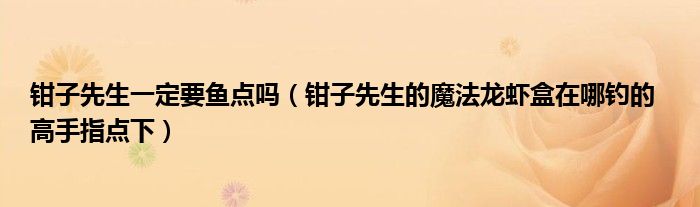 钳子先生一定要鱼点吗(钳子先生的魔法龙虾盒在哪钓的 高手指点下)