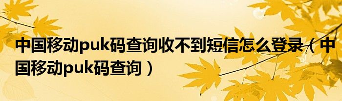 中国移动puk码查询收不到短信怎么登录(中国移动puk码查询)