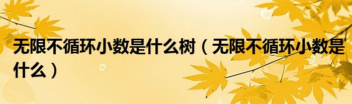 无限不循环小数是什么树(无限不循环小数是什么)