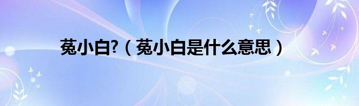 菟小白?(菟小白是什么意思)