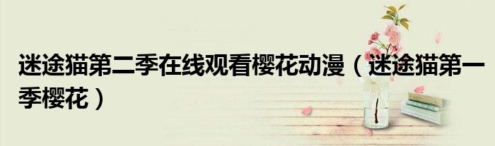 迷途猫第二季在线观看樱花动漫(迷途猫第一季樱花)