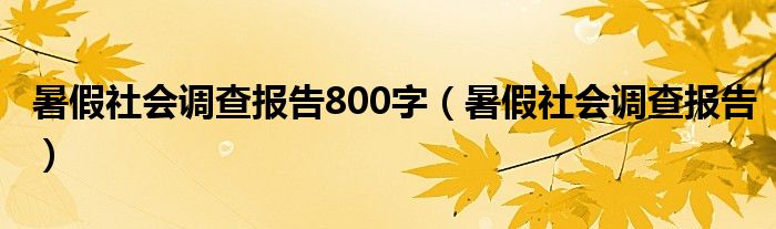 暑假社会调查报告800字(暑假社会调查报告)