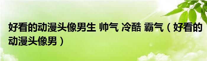 好看的动漫头像男生 帅气 冷酷 霸气(好看的动漫头像男)
