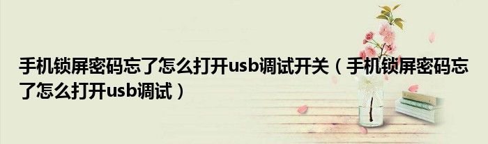 手机锁屏密码忘了怎么打开usb调试开关(手机锁屏密码忘了怎么打开usb调试)
