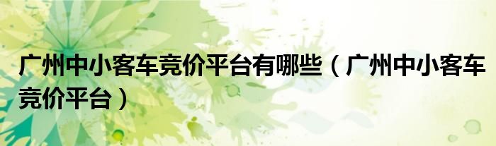 广州中小客车竞价平台有哪些(广州中小客车竞价平台)