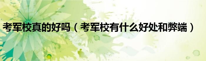 考军校真的好吗(考军校有什么好处和弊端)