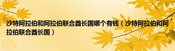 沙特阿拉伯和阿拉伯联合酋长国哪个有钱(沙特阿拉伯和阿拉伯联合酋长国)