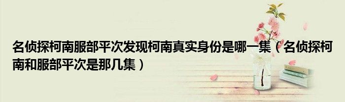名侦探柯南服部平次发现柯南真实身份是哪一集(名侦探柯南和服部平次是那几集)