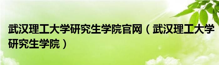 武汉理工大学研究生学院官网(武汉理工大学研究生学院)
