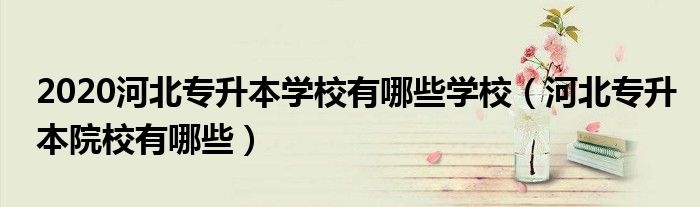 2020河北专升本学校有哪些学校(河北专升本院校有哪些)