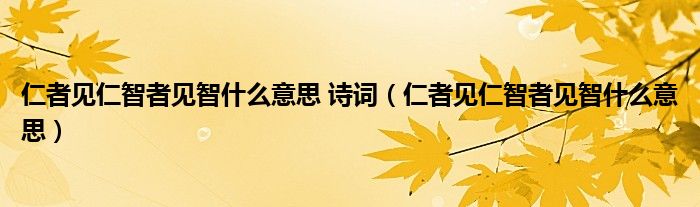仁者见仁智者见智什么意思 诗词(仁者见仁智者见智什么意思)