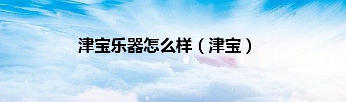 津宝乐器怎么样（津宝）