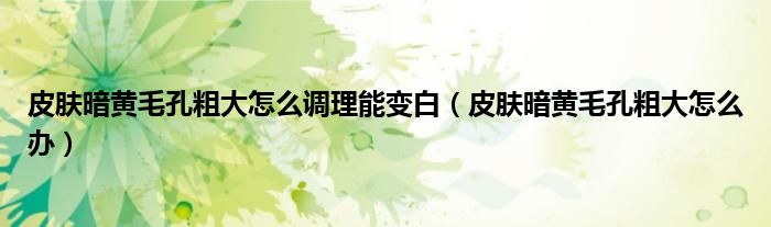 皮肤暗黄毛孔粗大怎么调理能变白(皮肤暗黄毛孔粗大怎么办)