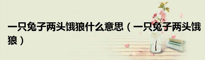 一只兔子两头饿狼什么意思(一只兔子两头饿狼)