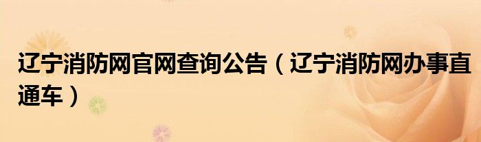辽宁消防网官网查询公告(辽宁消防网办事直通车)