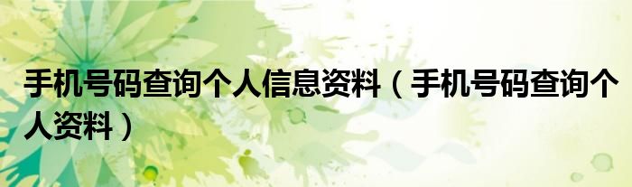 手机号码查询个人信息资料(手机号码查询个人资料)