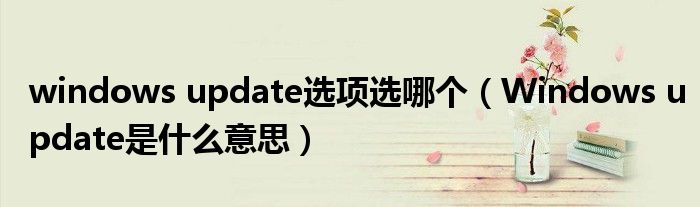 windows update选项选哪个(Windows update是什么意思)