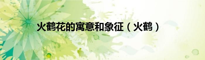 火鹤花的寓意和象征(火鹤)