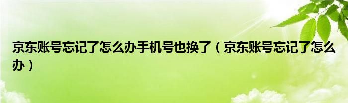 京东账号忘记了怎么办手机号也换了(京东账号忘记了怎么办)