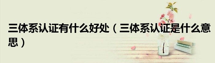 三体系认证有什么好处(三体系认证是什么意思)