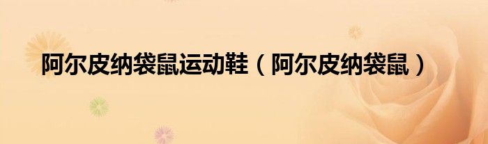 阿尔皮纳袋鼠运动鞋(阿尔皮纳袋鼠)